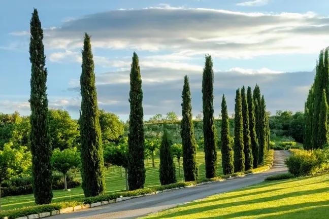 L’EROICA – TOSCANA MAGGIO 2025